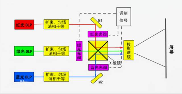 光的原理是什么呢_马齿芥的功效是什么呢(2)