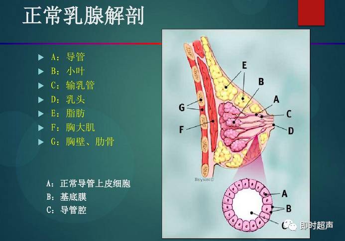 乳腺疾病超声诊断及bi-rads分级