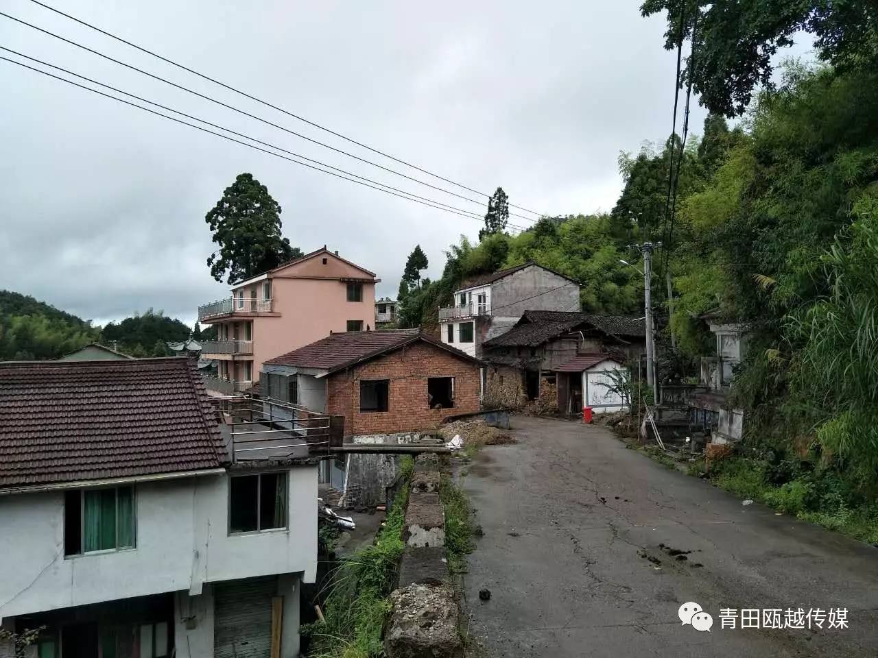 【我的故乡】阜山乡~金竹垟