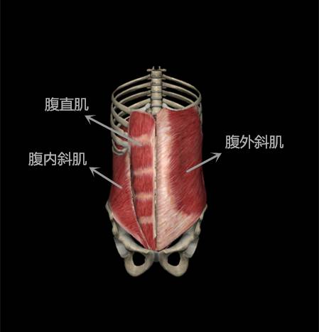 不知道平时习惯运动健身的小伙伴有没有注意过这种:是不是不说没注意