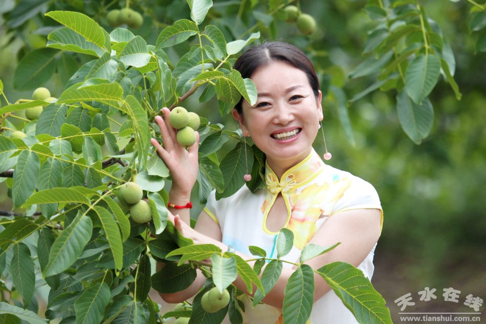 天水市西秦腔研究院副院长,清水核桃公益代言人袁丫丫在启动仪式上