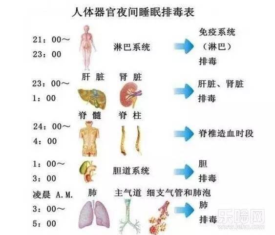 刷爆朋友圈的"人体排毒时间表"靠谱吗?真相来了!