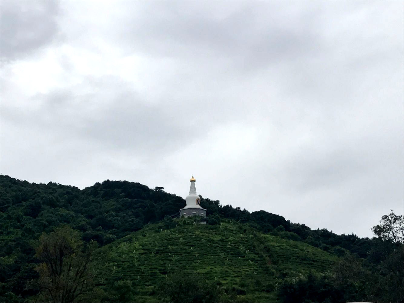 地址:横县宝华山下半腰中.