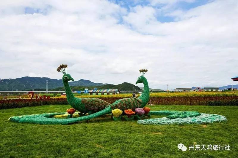 心海生态园一日游 8月26 27 29已成团 丹东崛起的旅游之星 闻所未见的