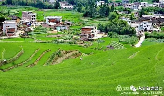 永定区虎岗镇汉洋村龙人口_永定区湖坑镇李建荣(2)