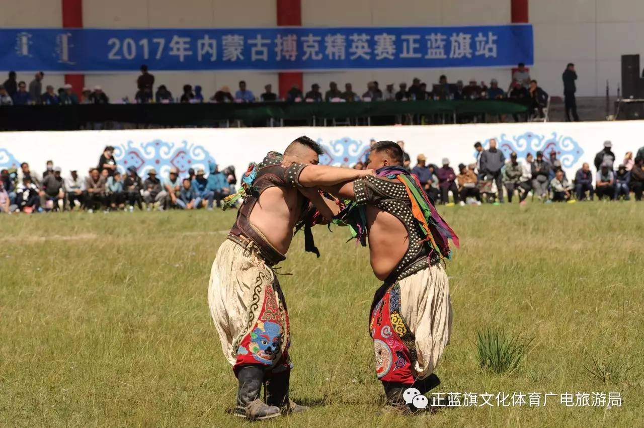 内蒙古搏克精英赛正蓝旗站圆满落幕