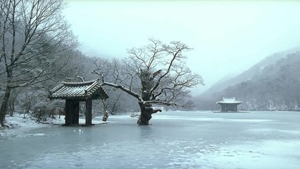 轮回春夏秋冬又一春