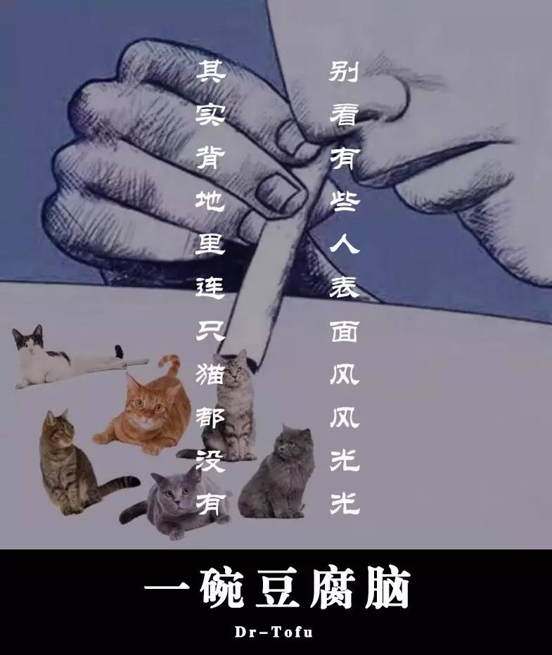 如果能