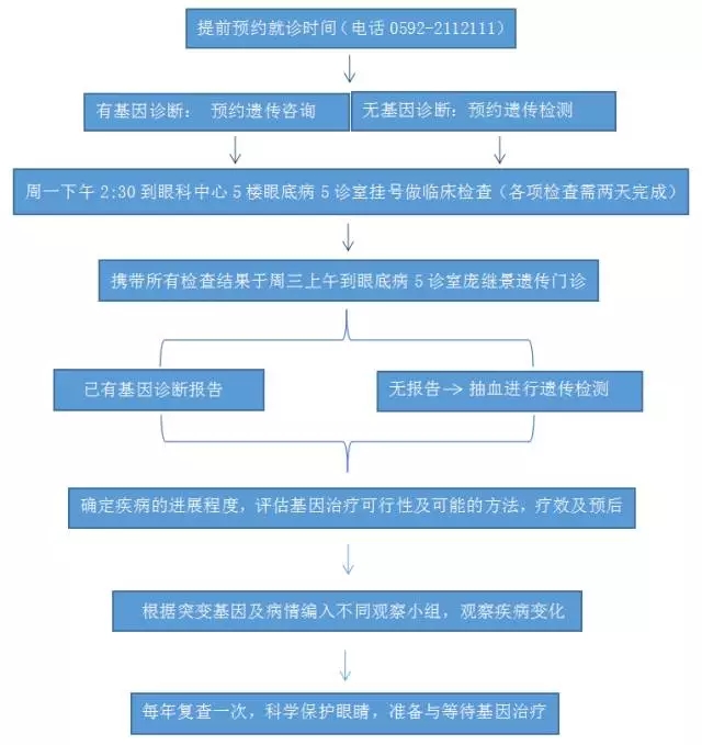 医疗与人口_人口与国情手抄报