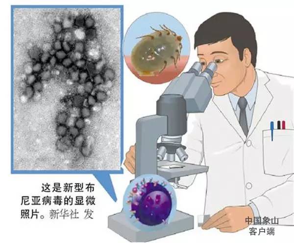 徐姓有多少人口_徐姓有多少人口 徐姓起源与分布