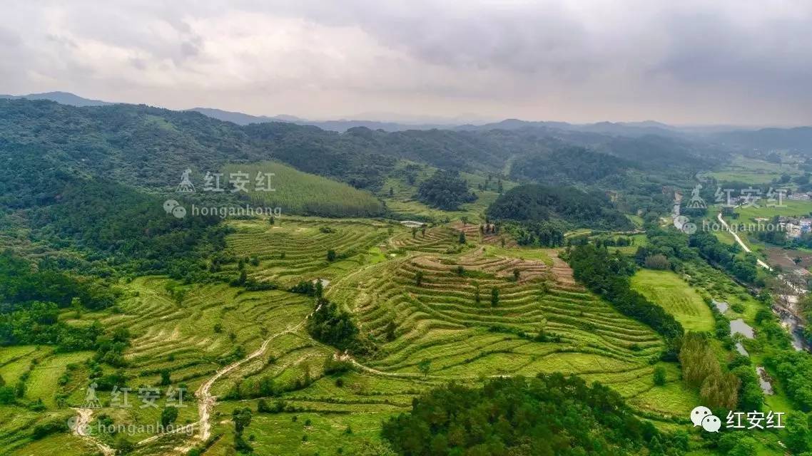 除了最美的小鸟"蓝喉蜂虎,杨山河吧也是红安县影视剧拍摄取景的重要