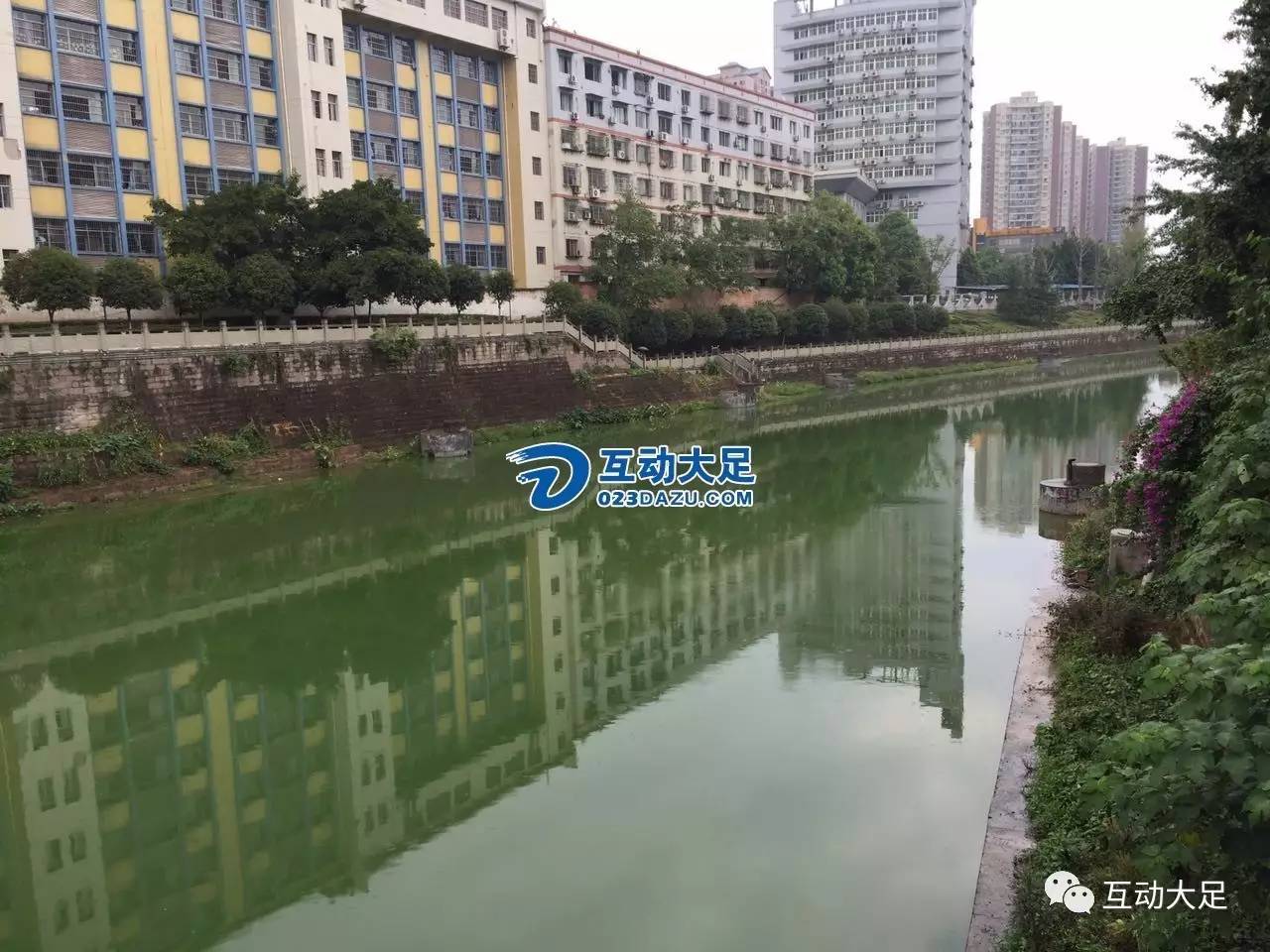 大足濑溪河河水变绿 市民担心影响健康