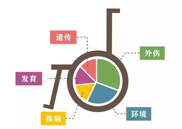 残疾人人口_中国残疾人口基本状况 上(2)