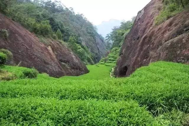 大坑口为通往天心岩的一条深长峡谷,横贯东西,连接天心岩和崇阳溪的