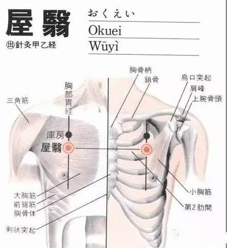 屋翳穴位位置图和具体按摩手法