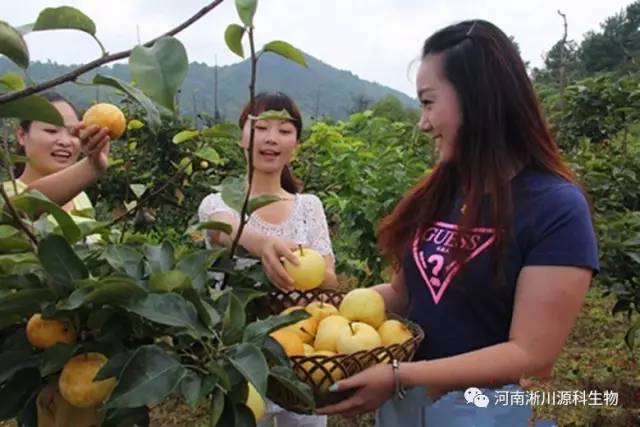 内乡县多少人口_内乡县瓦亭镇美女(2)