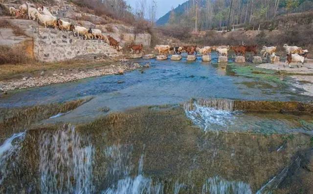 十二星座游泽州石淙头村金牛座的欢乐温馨之旅