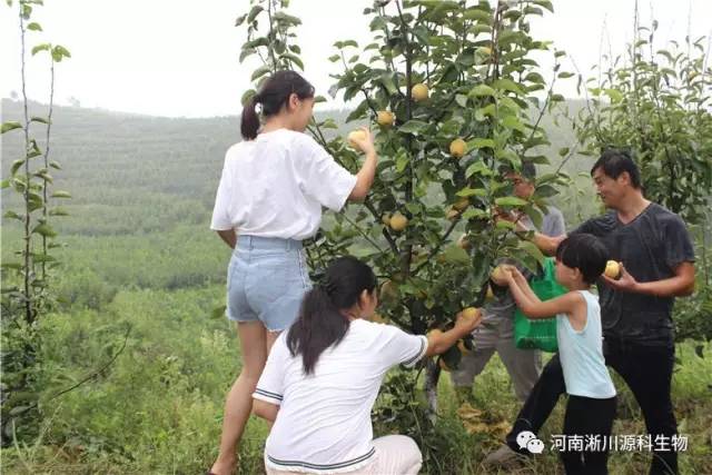 内乡县多少人口_内乡县瓦亭镇美女(2)