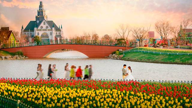 10月1日 本人将在荷兰花海举行婚礼