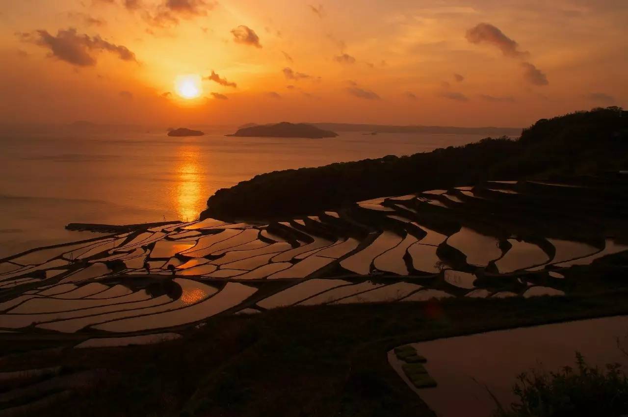 浦田地区人口_人口普查(2)