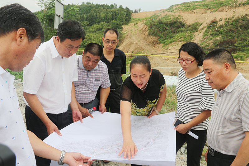 十堰市政协副主席程登明一行调研我区生态文化旅游发展情况