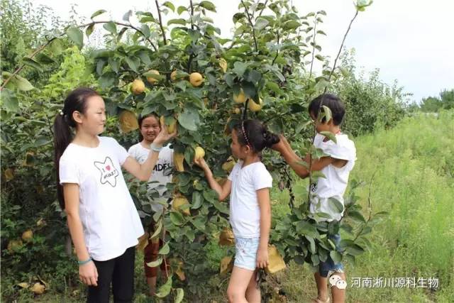 内乡县多少人口_内乡县瓦亭镇美女(3)