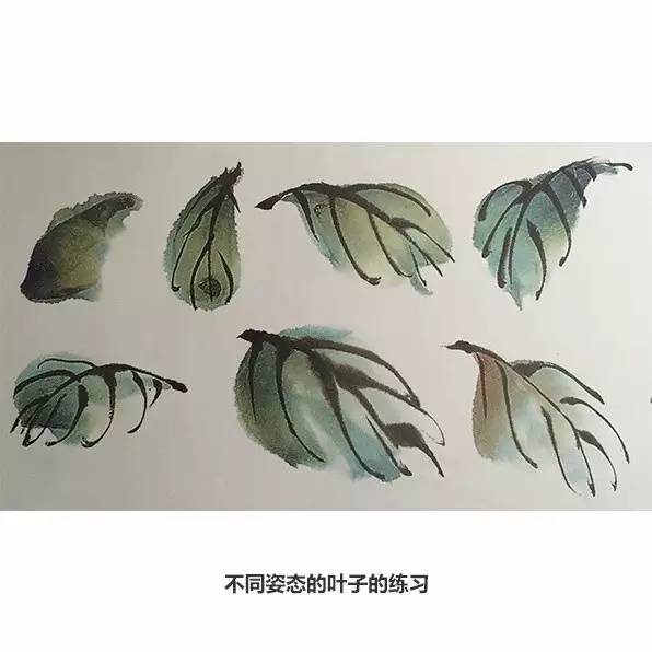 少儿国画入门教程:紫薇