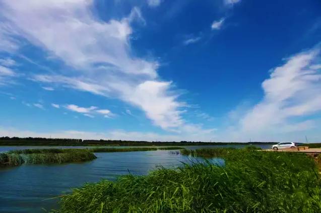 团泊湿地公园 静海县团泊湿地公园位于天津市静海区卫津路向南20分钟