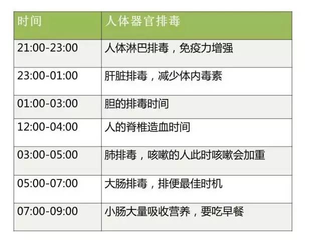 一表地雷一个碗猜一成语_土豆地雷(3)