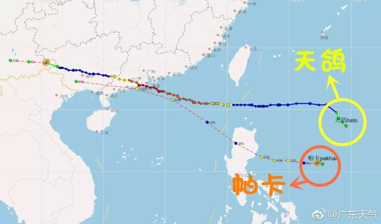 七夕应节最大风力达12级天鸽刚走台风帕卡将于明日在广东沿海登陆