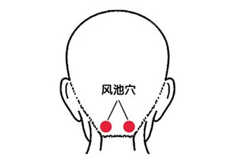 推荐| 头部专业知识与按摩手法