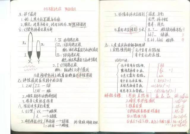 廖树衡 2017年汕头市文科状元廖树衡师兄以647分的优异成绩成为2017