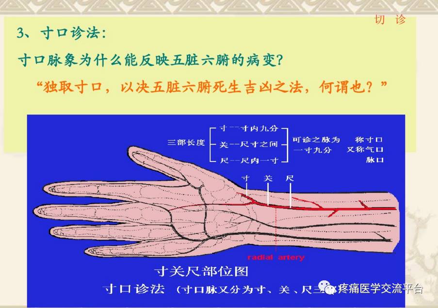 脉诊值得收藏