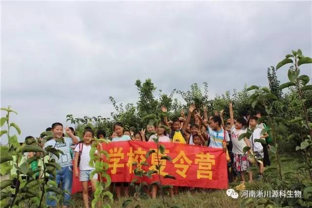 淅川县城人口_淅川县城图片