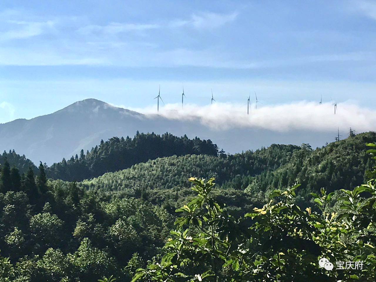 【宝庆艺苑】白马山龙瑶幽谷那些美丽的石头