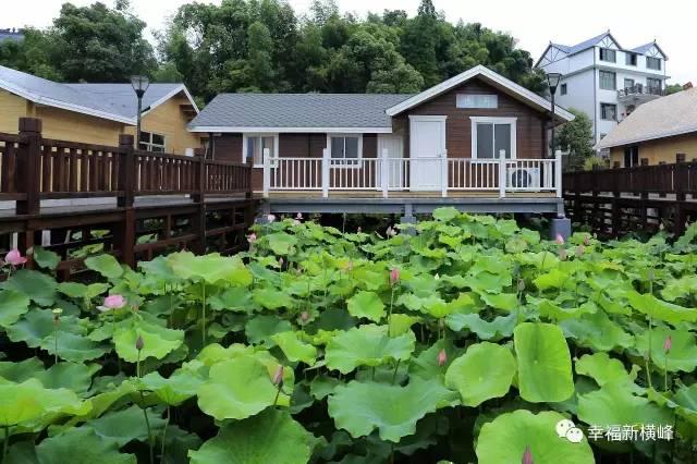 秀美乡村横峰举办首届荷花旅游节