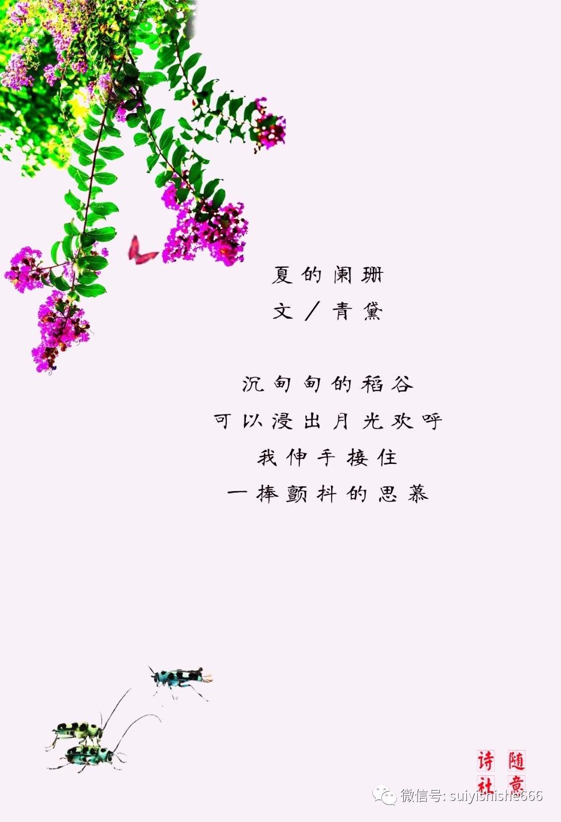 秋凉渐渐,夏意阑珊