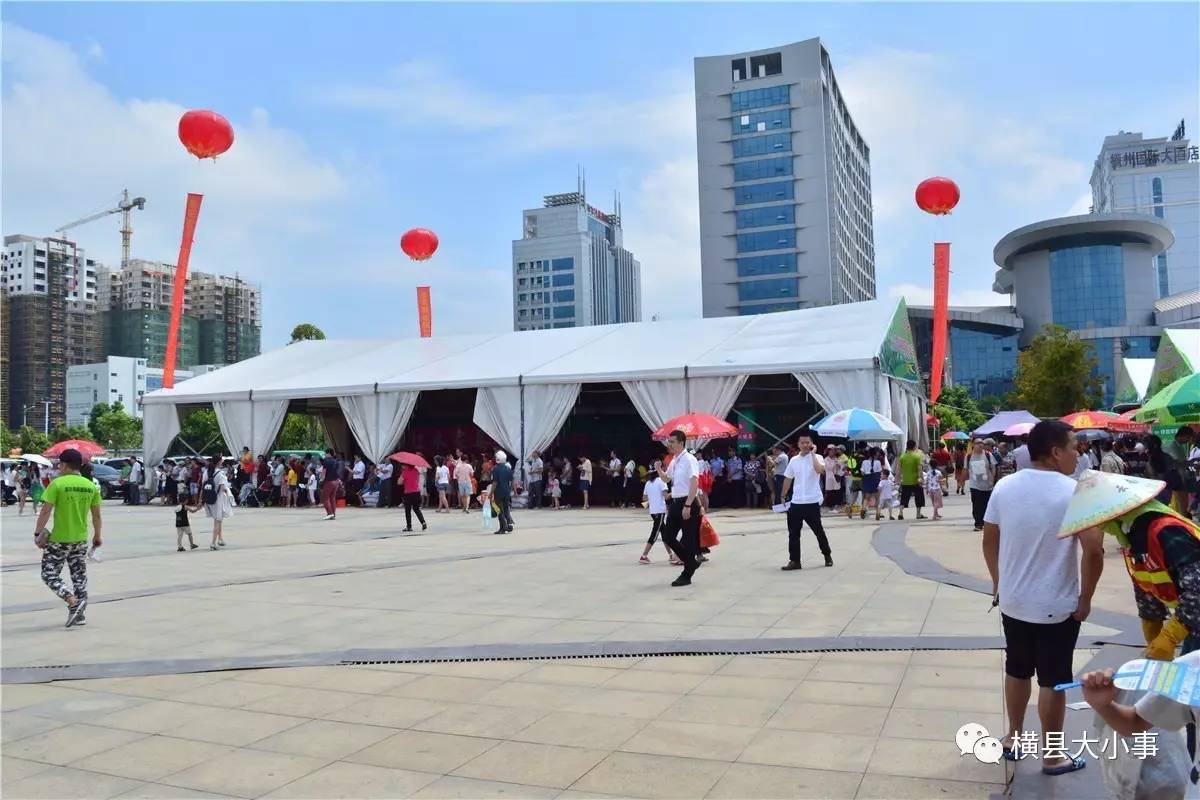 活动今晚,在横县国泰礼堂也举行一年一度的茉莉花音乐会▲图为2017年"