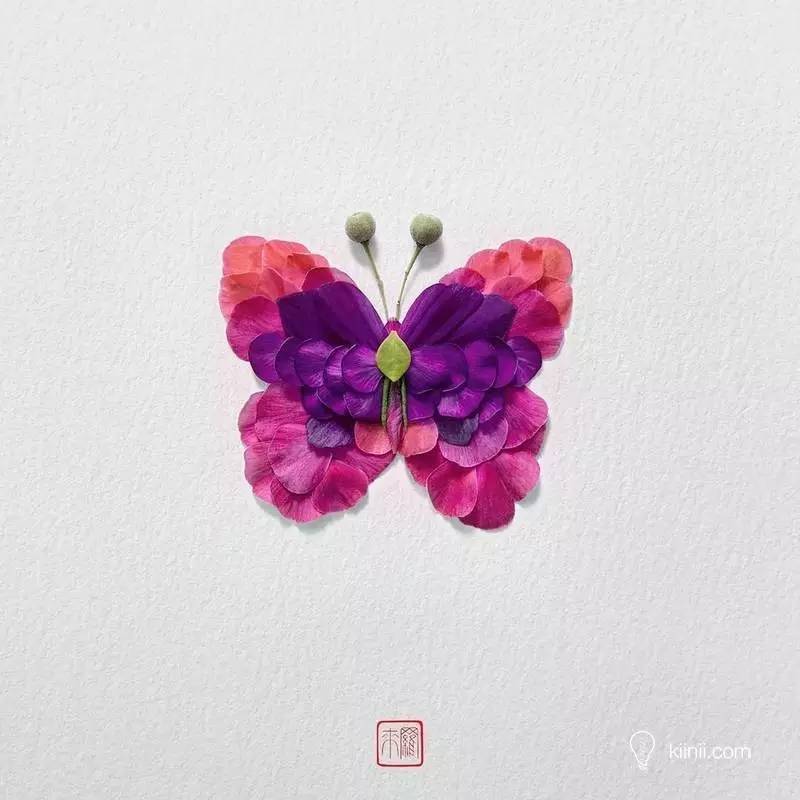 这些昆虫都是植物你信么--日本设计师的花瓣创意拼贴画