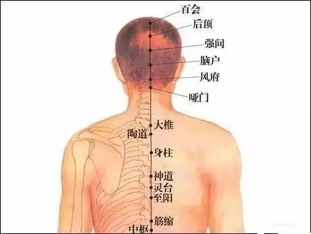 颈椎分七段,每段不好都会产生不同的疾病