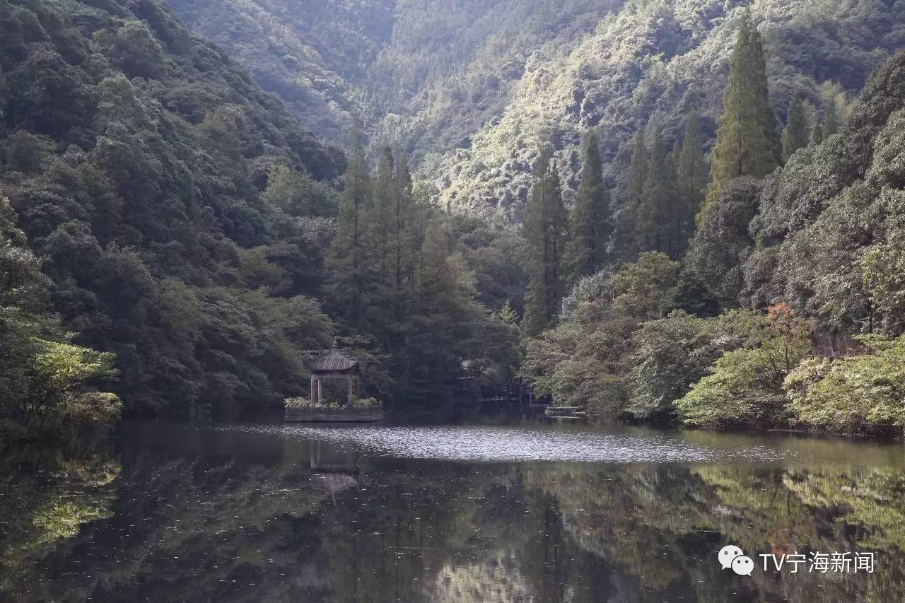 缑城文廊 我在深甽做了个梦