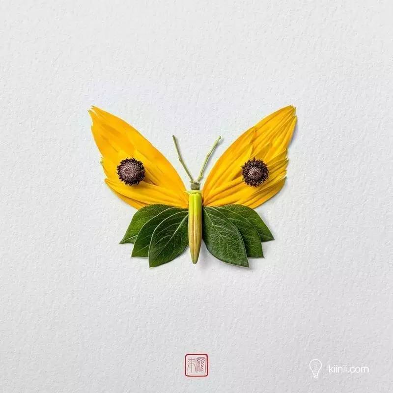 这些昆虫都是植物你信么--日本设计师的花瓣创意拼贴画
