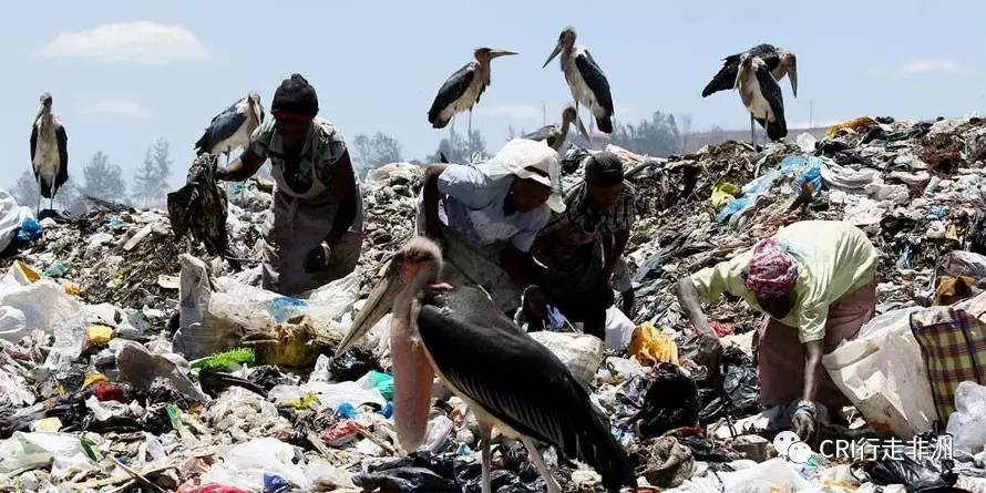 肯尼亚之所以实施禁塑令,同样是因为滥用塑料袋造成了严重的环境污染