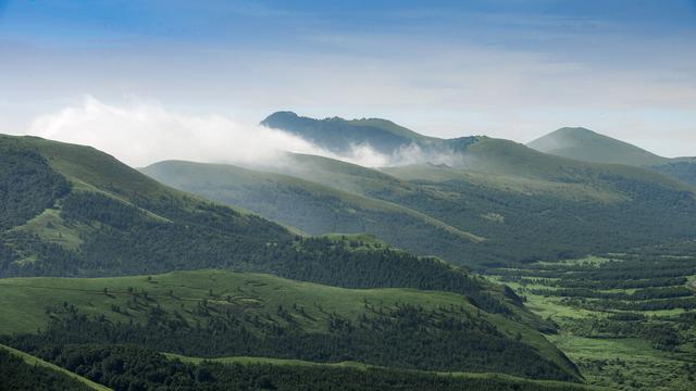 人员告诉我们,千松坝国家森林公园,正好位于坝上高原与冀北山地交汇处