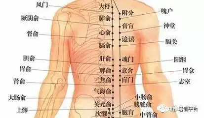 健康 正文 肚腹三里留, 腰背委中求, 头项寻列缺, "腰背委中求"是什么