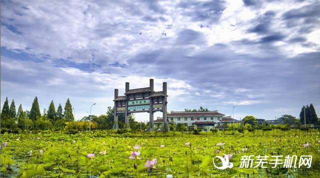 陶辛水韵为芜湖市十景之一,国家aaaa级旅游风景区和国家级水利风景区.