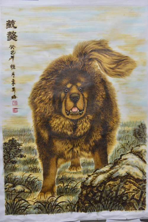 藏獒,是唯一令我唏嘘不已的犬种!