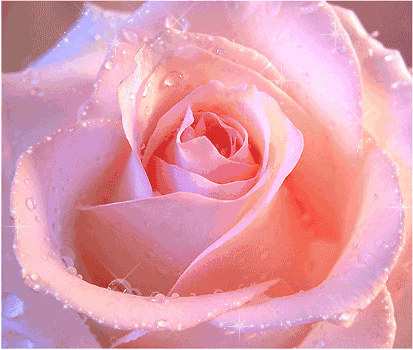 77朵玫瑰花 送给群里每位朋友 收到信息你要笑, 七夕祝福提前到