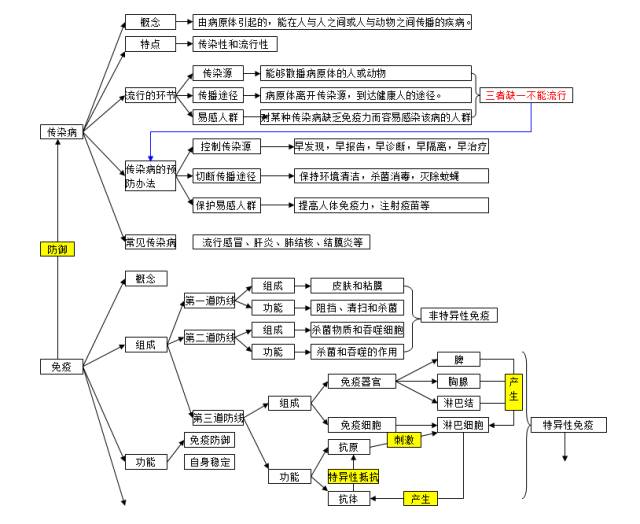 初中生物 部分知识点 思维导图