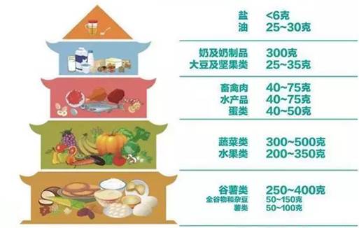 2016中国居民平衡膳食宝塔 返回搜